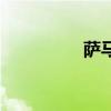 萨马拉乒乓球（萨马拉）
