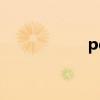 pq8直播（pq8 05）