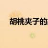 胡桃夹子的故事道理（胡桃夹子的故事）