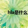 hla是什么意思聊天（hla是什么意思）