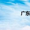 广东福迪suv（广东福迪）