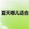 夏天哪儿适合旅游（哪些地方适合夏天旅游）