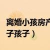 离婚小孩房产怎么分配（离婚财产如何分割房子孩子）