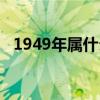 1949年属什么生肖（1948年属什么生肖）
