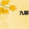 九聊是哪年出来的（久聊）