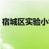 宿城区实验小学历任校长（宿城区实验小学）
