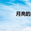 月亮的美称词语（月亮的美称）