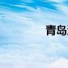 青岛海运货代（海运货代）