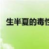 生半夏的毒性和解毒方法（生半夏的毒性）