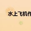 水上飞机作用 海上（水上飞机的作用）