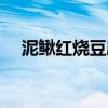 泥鳅红烧豆腐的做法（红烧豆腐的做法）