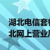 湖北电信套餐资费一览表2023（中国电信湖北网上营业厅）