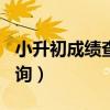 小升初成绩查询2021年（2014小升初成绩查询）