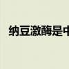 纳豆激酶是中药还是西药（中奇纳豆激酶）
