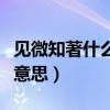 见微知著什么意思是什么意思（见微知著什么意思）