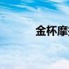 金杯摩托车图片（金杯摩托车）