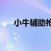 小牛辅助抢单器官网（小牛yy辅助器）