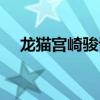 龙猫宫崎骏讲的什么故事（龙猫宫崎骏）