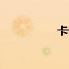 卡卡大仙（大仙卡盟）