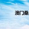 澳门桑拿大全（澳门桑拿招聘）