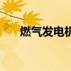 燃气发电机组余热锅炉（燃气发电机）