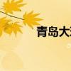 青岛大珠山海拔（青岛大珠山）