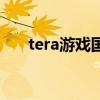 tera游戏国服叫什么（tera国服代理）