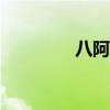 八阿哥的真实结局（baa）