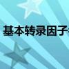 基本转录因子名词解释（转录因子名词解释）
