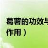 葛薯的功效与作用及食用方法（葛薯的功效与作用）