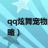 qq炫舞宠物属性分配表（qq炫舞宠物强化攻略）