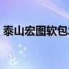 泰山宏图软包怎么样（泰山宏图软包多少钱）