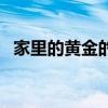 家里的黄金的概念(家里的黄金如何计算) 家里的黄金的概念(家里的黄金如何计算)