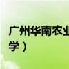 广州华南农业大学在哪个区（广州华南农业大学）