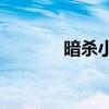 暗杀小队成员（yy暗杀小组）