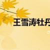 王雪涛牡丹高清80幅图（王雪涛牡丹）