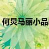 何炅马丽小品新春调频（马丽和何炅的小品）