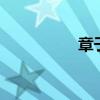章子怡和老外81张图片