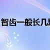 智齿一般长几颗 先涨哪颗（智齿一般长几颗）