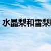 水晶梨和雪梨哪个好（雪梨和水晶梨的区别）