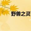 野兽之灵百度网盘下载（野兽之灵）