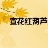 宣花红葫芦绝版获取方式（宣花红葫芦）