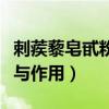 刺蒺藜皂甙粉的功效与作用禁忌（皂甙的功效与作用）