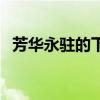 芳华永驻的下一句（芳华永驻是什么意思）