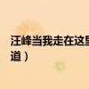汪峰当我走在这里的每一条街道（当我走在这里的每一条街道）