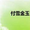 付雪金玉良缘歌曲（金玉良缘歌曲）
