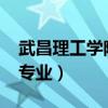 武昌理工学院专业代码2023（武昌理工学院专业）