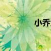 小乔大乔关系（小乔大乔）