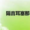 隔音耳塞那个牌子好（哪种隔音耳塞好）