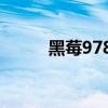 黑莓9780拆机（黑莓9700拆机）